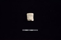 藏品(陶罐)的圖片